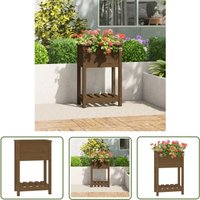 The Living Store - Pflanzkübel mit Ablage Honigbraun 54x34,5x81 cm Kiefernholz - Holzpflanze - Hochbeet - Balkonpflanzen - Kübelgarten - Pflanzenkübel The Living Store - Pflanzkübel mit Ablage Honigbraun 54x34,5x81 cm Kiefernholz - Holzpflanze - Hochbeet - Balkonpflanzen - Kübelgarten - Pflanzenkübel von THE LIVING STORE