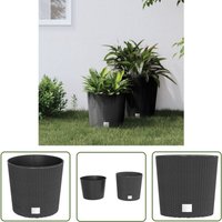 The Living Store Pflanzkübel mit herausnehmbaren Einsatz Anthrazit 15/15,3 L PP - Blumentopf - Pflanzgefäß - Rattan Optik - Gartendekoration The Living Store Pflanzkübel mit herausnehmbaren Einsatz Anthrazit 15/15,3 L PP - Blumentopf - Pflanzgefäß - Rattan Optik - Gartendekoration von THE LIVING STORE