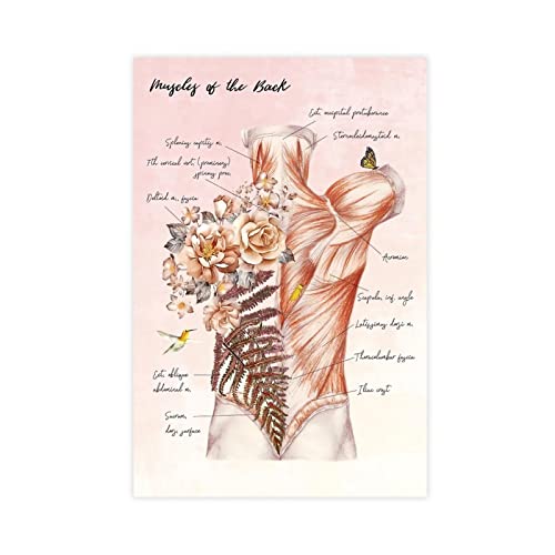 THEGIS Massagetherapeut Blume Anatomie Massage Muskelsystem Kunst Leinwand Poster Wandkunst Dekor Druck Bild Gemälde für Wohnzimmer Schlafzimmer Dekoration ungerahmt 30 x 45 cm von THEGIS