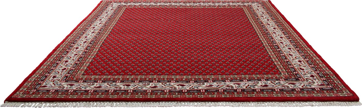 Orientteppich Chandi Mir, THEKO, rechteckig, Höhe: 12 mm, reine Wolle, handgeknüpft, mit Fransen von THEKO