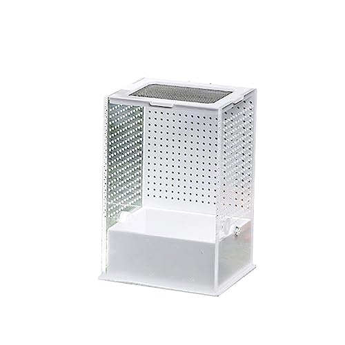 Löschen Der Fütterungskastenschlüpfbehälter Mit Deckel Für Spinnen Skorpion Liefert Transparente Fütterungsboxbehälter von THINCAN