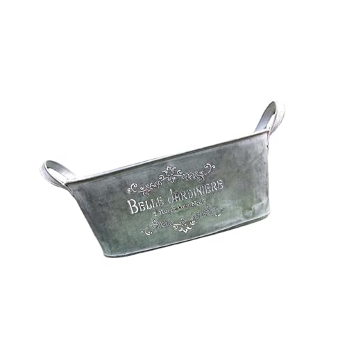 THINCAN Blumentöpfe Metall Eisenpflanzentöpfe Großer Zaungeländer Balkon Garten Eimer Pflanzer Für Innenräume Freien Freien Mit Doppelten Griffen THINCAN Blumentöpfe Metall Eisenpflanzentöpfe Großer Zaungeländer Balkon Garten Eimer Pflanzer Für Innenräume Freien Freien Mit Doppelten Griffen von THINCAN