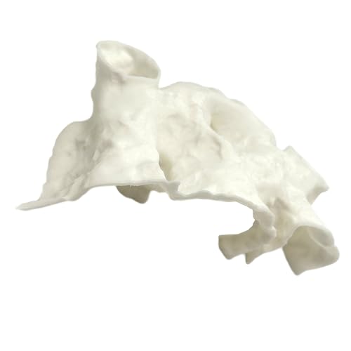 THINCAN Realistische Aquariumhöhle Mit Mehreren Eingängen Für Fischgarnelen Und Anreicherung Sicherer Garnelen Versteck Für Panzer THINCAN Realistische Aquariumhöhle Mit Mehreren Eingängen Für Fischgarnelen Und Anreicherung Sicherer Garnelen Versteck Für Panzer von THINCAN