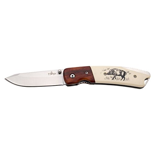 THIRD Messer 10020J, ABS-Griff mit Eberdekor, 9,5 cm lange Klinge aus rostfreiem Stahl. THIRD Messer 10020J, ABS-Griff mit Eberdekor, 9,5 cm lange Klinge aus rostfreiem Stahl. von THIRD