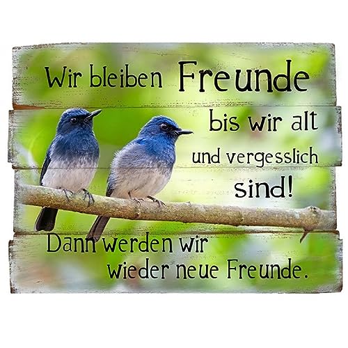 Wandbild mit Spruch (Wir bleiben Freunde, Vögel) von THOKUTOYS