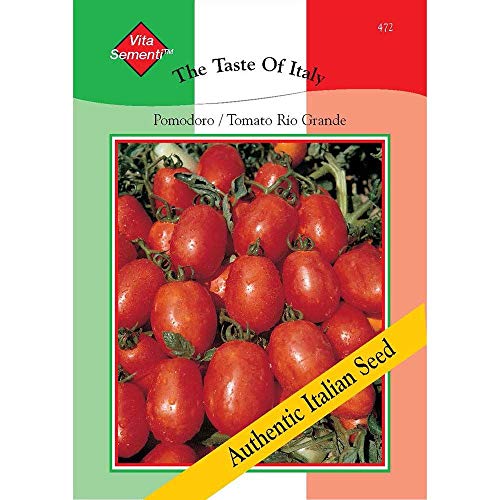 Thompson & Morgan, den Geschmack der Italien Gemuse Tomate RIO Grande 450 Samen von Thompson & Morgan