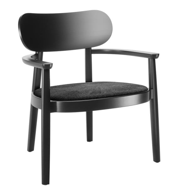 THONET 119 SPF Holzstuhl schwarz mit Armlehnen | Polstersitz | Konfigurator von THONET