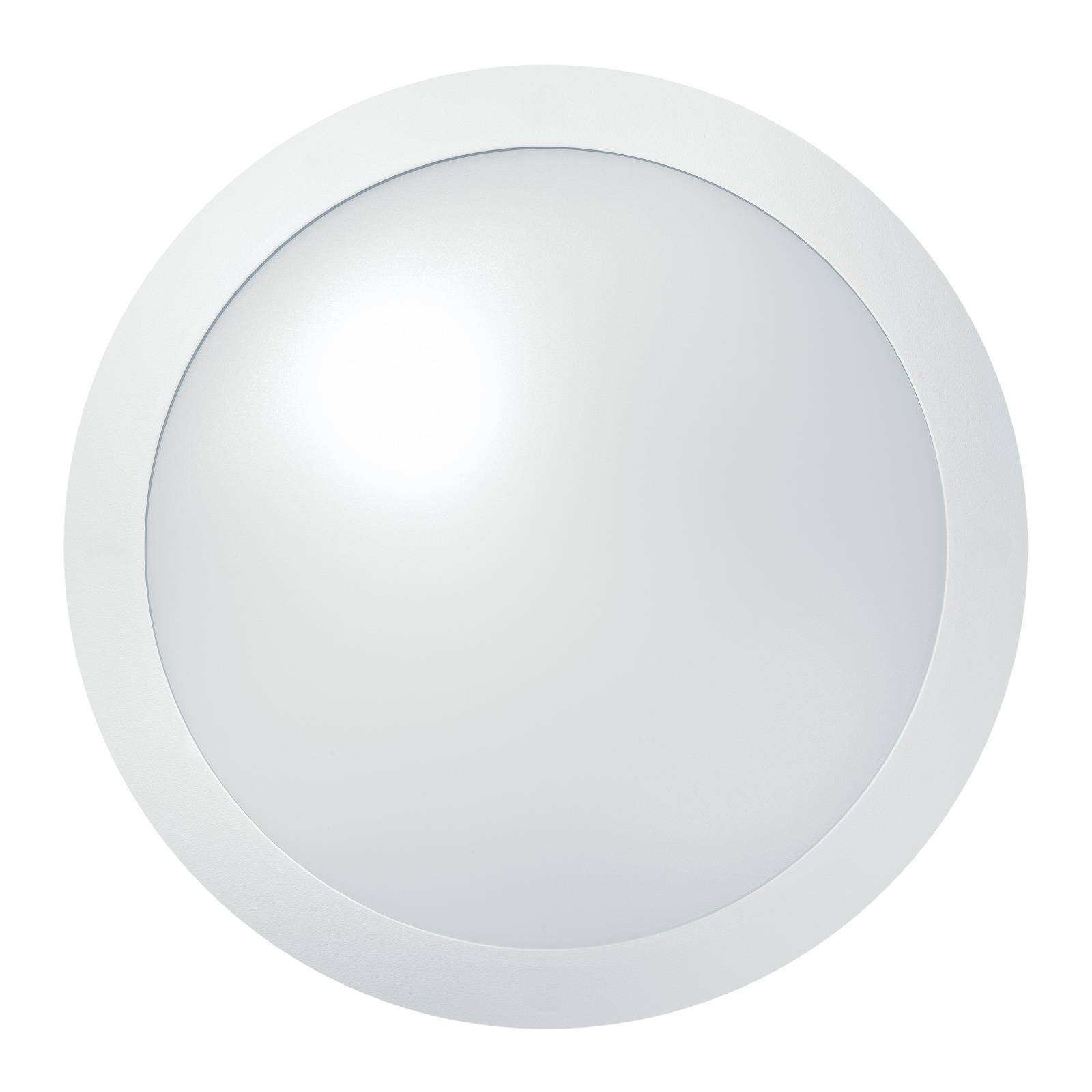 THORNeco Tom Vario LED-Wandleuchte 14 W 30 cm weiß von THORN