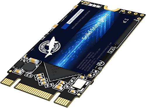 Dogfish 4TB M.2 SATA SSD Festplatte Intern 2242 3D-NAND 6Gb/s NGFF Internal Solid State Drive SATA III Hohe Leistung Eingebaute SSD Für Desktop Laptop von THREE COLOUR DOGFISH