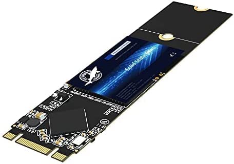 Dogfish 4TB SSD M.2 2280 SATA III Internal Solid State Drive 3D-NAND 6Gb/s NGFF Intern Festplatte Für Desktop Laptop von THREE COLOUR DOGFISH