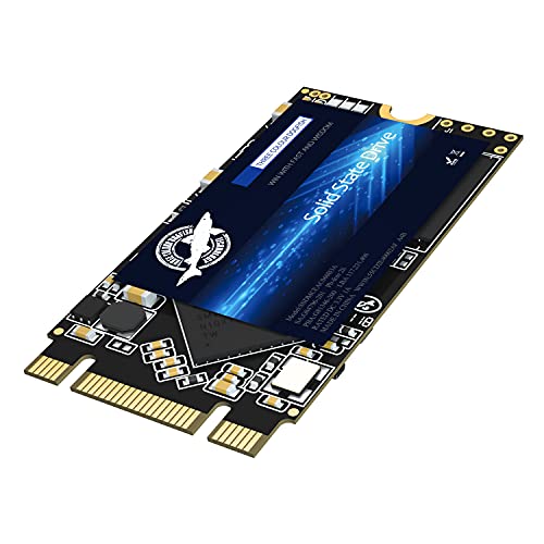 Dogfish SSD M.2 2242 128GB Solid State Drive Ngff Internen Desktop Computer 6Gb/s High Performance Festplatte Aus Bislang 120GB 240GB 250GB 480GB 500GB (128GB, M.2 2242) von THREE COLOUR DOGFISH