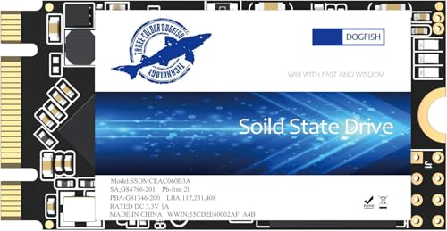 Dogfish SSD M.2 2242 250GB Solid State Drive Ngff Internen Desktop Computer 6Gb/s High Performance Festplatte Für Desktop Laptop (250GB, M.2 2242) von THREE COLOUR DOGFISH
