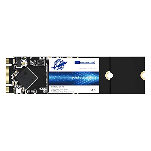 Dogfish 2TB SSD M.2 2280 Solid State Drive 3D NAND SATA III 6Gb/s High Performance Festplatte Für Desktop Laptop (M.2 2280,2TB) von THREE COLOUR DOGFISH