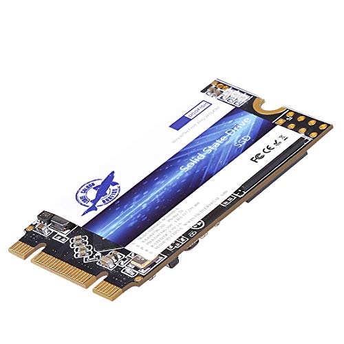 Dogfish SSD M.2 2242 250GB Solid State Drive Ngff Internen Desktop Computer 6Gb/s High Performance Festplatte Für Desktop Laptop (250GB, M.2 2242) von THREE COLOUR DOGFISH