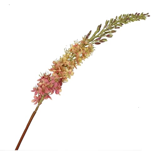 THUN Eremurus rosa von THUN