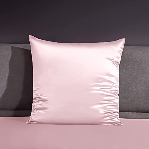 THXSILK 22 Momme Seide Kissenbezug - 100% Seide Kopfkissenbezug Sofakissenbezug - Anti milben Reißverschluss Seidenkissenbezug - Bezauberndes Rosa 65 x 65 cm von THXSILK