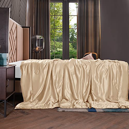 THXSILK Seide Kuscheldecke Sofa Decken - Seidendecke für Couch weich und warm, Wohndecke flauschig als Sofadecke Couchdecke - Innen und außen 100% Seide - Champagner, 135x180 cm von THXSILK