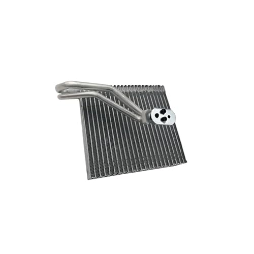 64119262788 64113422669 Verdampferkern der Klimaanlage, kompatibel mit Klimaanlagensystem BMW, MINI R56(64113422669) von THXSXMO