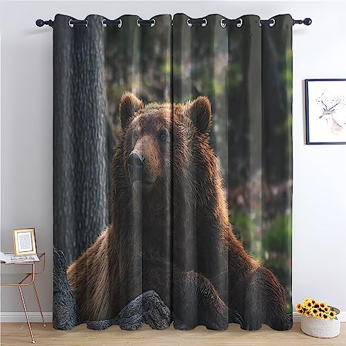 THYUNQ Vorhänge Bär Motiv, Vorhang Blickdicht Verdunklungsvorhänge mit Ösen - Gardinen Wohnzimmer Schlafzimmer Fenster, 2er Set Curtains, H 200 x B 140 cm von THYUNQ