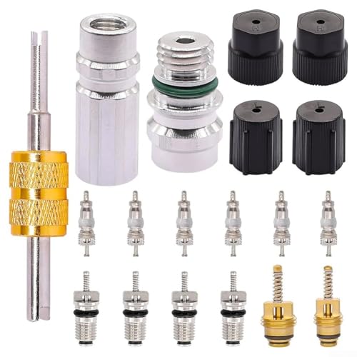 19-teiliges AC-Ventilkern-Ersatz-Set für R134a Umfassendes Zubehör-Set für effiziente Reparaturen von TIANHENGMart