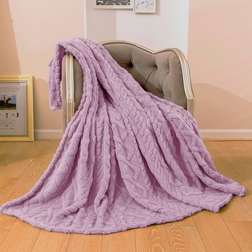 TIANSHU Dünne Kuscheldecke Flauschig Decke Fleecedecke, Weich Blanket Fleecedecke Warm Waschbar Sofadecke Anti-Pilling Geeignet für alle Jahreszeiten(150x200, Lila) von TIANSHU