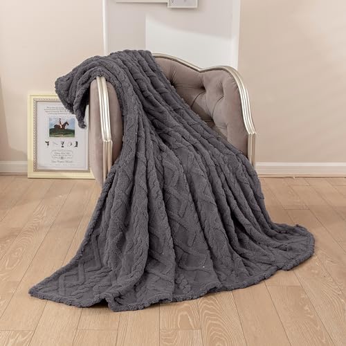 TIANSHU Dünne Kuscheldecke Flauschig Decke Fleecedecke, Weich Blanket Fleecedecke Warm Waschbar Sofadecke Anti-Pilling Geeignet für alle Jahreszeiten(200x230, Dunkelgrau) von TIANSHU