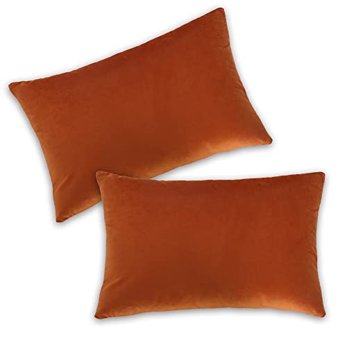 TIANSHU Überwurf-Kissenbezug, einfarbiger Samt, dekorative quadratische Kissenbezüge, Kissenbezüge, Kissenbezüge für Sofa, Schlafzimmer, Auto (30x50CM,2er-Set, Orange) von TIANSHU