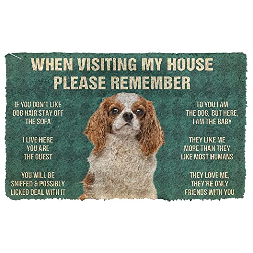 TIANTUR Fussmatte aussen Bitte Denken Sie daran, Cavalier King Charles Spaniel Hunde Hausregeln benutzerdefinierte Fußmatte Reko Oohnzimmer 16"x24" von TIANTUR