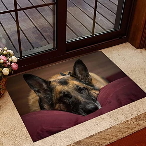 Fussmatte Aussen Haustür Fußabtreter Deutscher Schäferhund schlafen - Hund Fußmatte Willkommen Matte Home Decor Geschenk für Hundeliebhaber Lustige Fußmatte Geschenkidee deko wohnzimmer 16"x24" von TIANTURNM