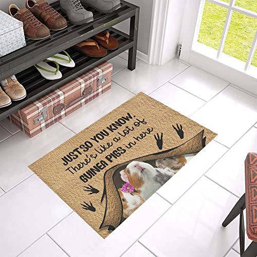 TIANTURNM Fussmatte Aussen Haustür Sie kennen Meerschweinchen Bedruckte Fußmatte Home Decor Schlafzimmer deko Wohnzimmer 16"x24" von TIANTURNM