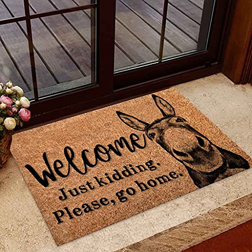 TIANTURNM Willkommen nur EIN Scherz Bitte gehen Sie nach Hause Fußmatte Willkommensmatte Home Decor Lustige Fußmatte Geschenk für Esel-Liebhaber Geburtstagsgeschenk deko Wohnzimmer 16"x24" von TIANTURNM