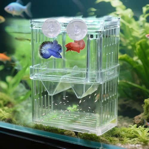Aquarium Fisch Zuchtbox Transparent Kunststoff Zuchtbox von TIANXUAN
