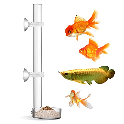 TIESOME Garnelen Futterspender aus Acryl transparent langlebig, Garnelen-Futterspender für Aquarienfische, zusammengebautes Garnelen-Fütterungsrohr 20/25 cm Rohr und 6,5 cm Garnelen Futternapf (25cm) TIESOME Garnelen Futterspender aus Acryl transparent langlebig, Garnelen-Futterspender für Aquarienfische, zusammengebautes Garnelen-Fütterungsrohr 20/25 cm Rohr und 6,5 cm Garnelen Futternapf (25cm) von TIESOME