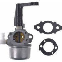 696065 Ersatzvergaser mit Dichtungssatz für Briggs & Stratton 696065 Ersatzvergaser mit Dichtungssatz für Briggs & Stratton von TIGREZY