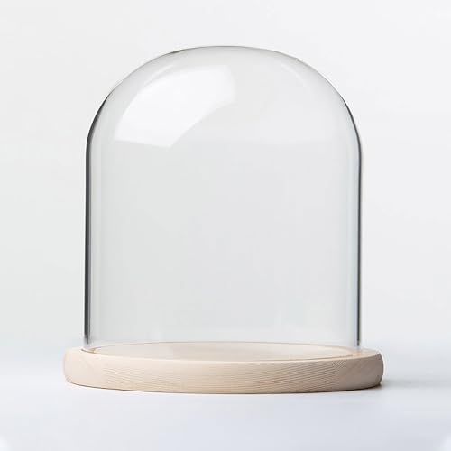 TIHONORI Cloche Kuppeldisplay aus Glas mit Sockel aus Massivholz Durchmesser 20 cm zur Präsentation von Pflanzen, Ornamenten, Figuren,20 * 20cm TIHONORI Cloche Kuppeldisplay aus Glas mit Sockel aus Massivholz Durchmesser 20 cm zur Präsentation von Pflanzen, Ornamenten, Figuren,20 * 20cm von TIHONORI
