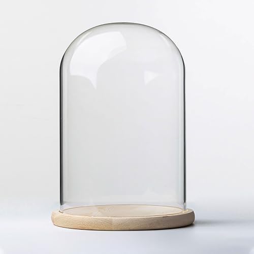 TIHONORI Cloche Kuppeldisplay aus Glas mit Sockel aus Massivholz Durchmesser 20 cm zur Präsentation von Pflanzen, Ornamenten, Figuren,20 * 25cm von TIHONORI