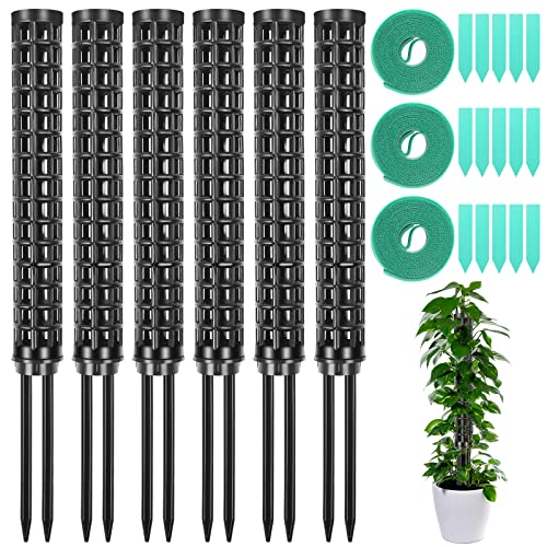 TIHOOK Monstera Rankhilf, 6 STK Moosstab, Pflanzstab Monstera, Moss Pole Monstera, für Monstera Pflanzen Efeutute, mit Pflanzenetiketten und Drehbändern von TIHOOK