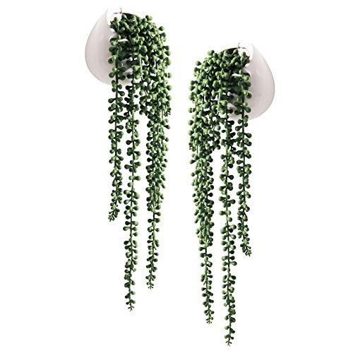 TIITA Künstliche Sukkulenten Hängepflanzen künstliche Perlen Pflanzen in weißer Keramik 2er Set von TIITA