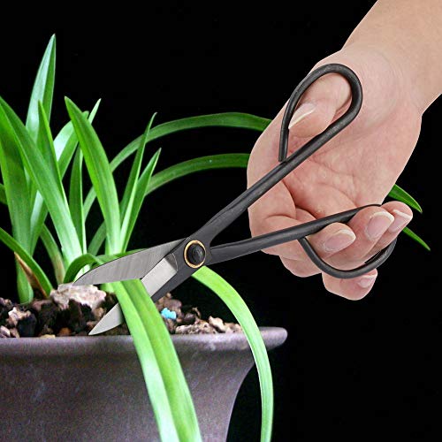 TIKATARER Bonsai -Schere, 205 Mm Bonsai Schere, Langgang Griff Gartenschere Beschneidigen Scherknospenblätter Trimmwerkzeug Gartenausrüstung TIKATARER Bonsai -Schere, 205 Mm Bonsai Schere, Langgang Griff Gartenschere Beschneidigen Scherknospenblätter Trimmwerkzeug Gartenausrüstung von TIKATARER