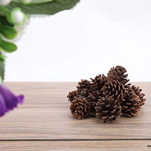 TIKATARER Kiefernkegel, 16pcs Kiefernkegel Ornament Tinecone Ornamente Weihnachtsfeier Hängende Dekoration Tiere für Kunsthandwerk für DIY -Kunsthandwerk, Urlaub, Hochzeit, Party, Wohnkultur TIKATARER Kiefernkegel, 16pcs Kiefernkegel Ornament Tinecone Ornamente Weihnachtsfeier Hängende Dekoration Tiere für Kunsthandwerk für DIY -Kunsthandwerk, Urlaub, Hochzeit, Party, Wohnkultur von TIKATARER