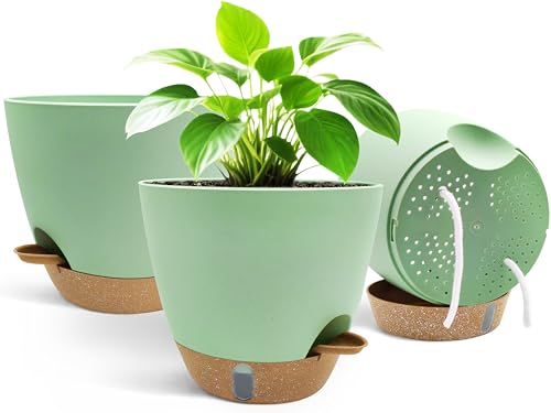 TIKTALK 3 Packs 20cm Selbstbewässerungstopf – Blumentopf mit Bewässerungssystem Visualisierung des Wasserstandes für Kräuter, Sukkulenten & Zimmerpflanzen – Ideal für Fensterbank, Büro & Balkon (Grün) TIKTALK 3 Packs 20cm Selbstbewässerungstopf – Blumentopf mit Bewässerungssystem Visualisierung des Wasserstandes für Kräuter, Sukkulenten & Zimmerpflanzen – Ideal für Fensterbank, Büro & Balkon (Grün) von TIKTALK