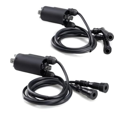 TILIEINE 2 Pcs Zündspule & Caps Für Honda CB650 CB750 CB900 CB1000 1979-1983 Für Goldwing Für Nighthawk Ignition Coil zündspule von TILIEINE
