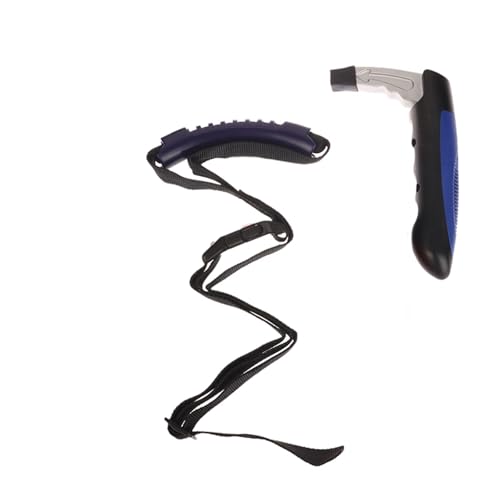 TILIEINE Griffverkleidung 2 in 1 Multifunktions Fahrzeug Unterstützung Griffe Fenster Breaker Tragbare Automotive Auto Griff Unterstützen Türgriff(Blue 2) von TILIEINE