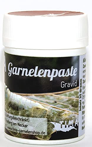 TIMA Garnelenshop® Garnelenfutter I Garnelenpaste I Futter für Garnelen I Gravid Serie I Made in Germany I Energie-Booster I Eifleckbildung I Top Mineralien und Proteine I Premium Nährstoffe I 35g von TIMA