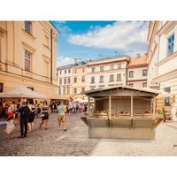 Holz Gartenhaus, Marktbude Holz, Verkaufsstand Holzhaus mit Theke, fünf fenster, H232x336x263 cm/6 m2, große multifunktionale Garten-Bar, von TIMBELA