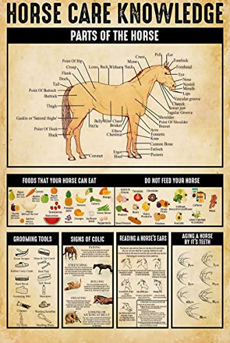 Horse Care Knowledge MetallBlechschilder Foods That Your Horse Can Eat Lustige Poster Land Bauernhof Haus Pferd Bauernhof Club Schule Bildung Dose Küche Badezimmer Zuhause Kunst Wanddekoration Horse Care Knowledge MetallBlechschilder Foods That Your Horse Can Eat Lustige Poster Land Bauernhof Haus Pferd Bauernhof Club Schule Bildung Dose Küche Badezimmer Zuhause Kunst Wanddekoration von TIMEGOAT