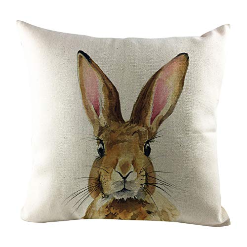 Kissenbezug Ostern Osterdeko Ostereier Häschen Kissenhülle Kissenbezug Dekokissen Cases Ostern Deko Sofa Kissen 45x45cm, Dekorative Kissenhülle für Zierkissenhülle Schlafzimmer Sofa (D-C, 1pc) von TIMIYUYU