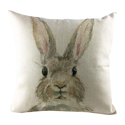 Kissenbezug Ostern Osterdeko Ostereier Häschen Kissenhülle Kissenbezug Dekokissen Cases Ostern Deko Sofa Kissen 45x45cm, Dekorative Kissenhülle für Zierkissenhülle Schlafzimmer Sofa (D-G, 1pc) von TIMIYUYU