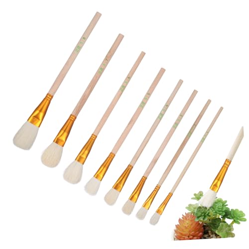 TINEASUR 8 Stück Teiliges Bestäubungswerkzeug Tragbarer Handpollinator für Pflanzen Geeignet für Sukkulenten Obst und Gemüse Leichtem für Einfache Handhabung und Aufbewahrung TINEASUR 8 Stück Teiliges Bestäubungswerkzeug Tragbarer Handpollinator für Pflanzen Geeignet für Sukkulenten Obst und Gemüse Leichtem für Einfache Handhabung und Aufbewahrung von TINEASUR