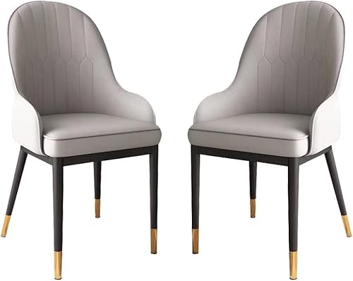 TINGMIAN Esszimmerstuhl-Set, 2er-Set, Küche, Wohnzimmer, Lounge, Thekenstühle, modernes PU-Leder, hohe Rückenlehne, gepolstert, weicher Sitz, schmiedeeisernes Bein (D) von TINGMIAN